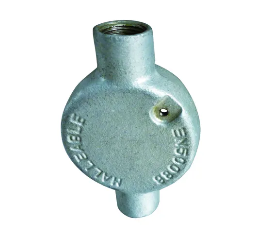 Conduit Body