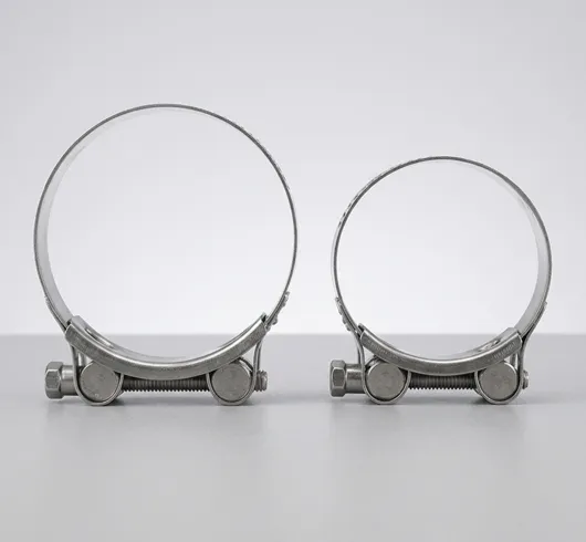 Double Wires Hose Clamp
